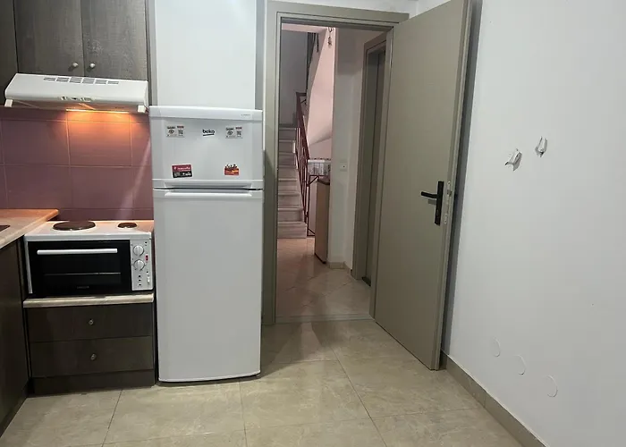 Seashell * Lefkada City