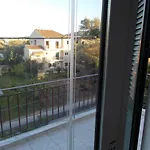 Seashell * Lefkada City
