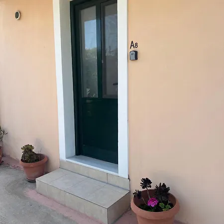 Apartment Seashell *